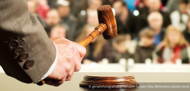 Gerichtliche Versteigerung eines Grundstücks Gerichtliche Versteigerung eines Grundstücks