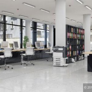 Entnahme von Gegenständen aus dem Betriebsvermögen